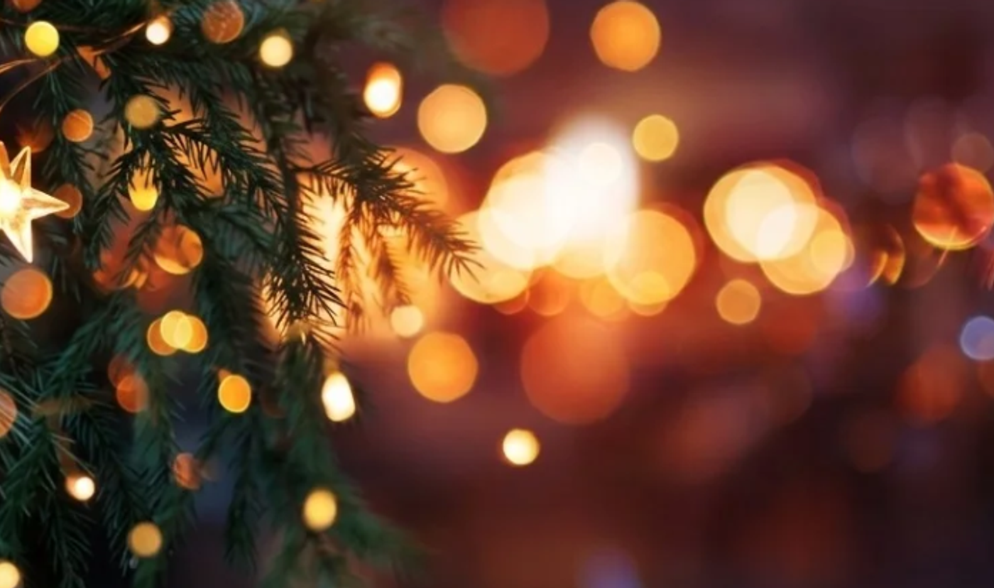 Großauschnitt eines Christbaumes